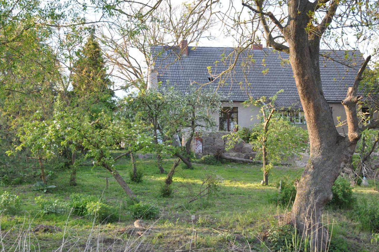 Ferienhaus Caselow 23 Bergholz Extérieur photo